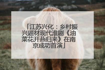 江苏兴化：乡村振兴题材现代淮剧《油菜花开燕归来》在南京成功首演