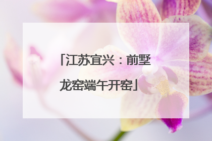 江苏宜兴：前墅龙窑端午开窑