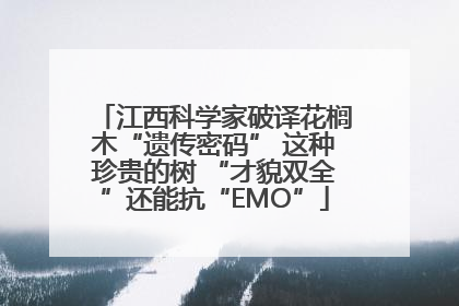 江西科学家破译花榈木“遗传密码” 这种珍贵的树 “才貌双全”还能抗“EMO”