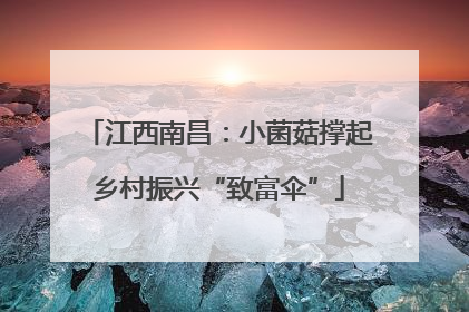 江西南昌：小菌菇撑起乡村振兴“致富伞”
