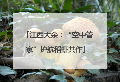 江西大余：“空中管家”护航稻虾共作
