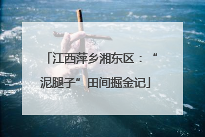 江西萍乡湘东区：“泥腿子”田间掘金记