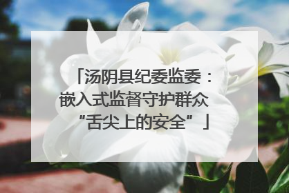 汤阴县纪委监委：嵌入式监督守护群众“舌尖上的安全”