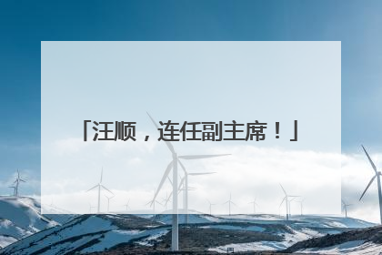 汪顺，连任副主席！