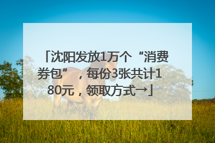 沈阳发放1万个“消费券包”，每份3张共计180元，领取方式→
