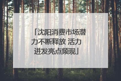 沈阳消费市场潜力不断释放 活力迸发亮点频现