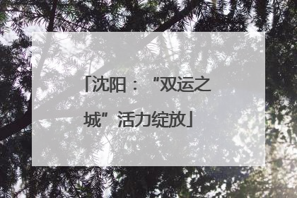 沈阳：“双运之城”活力绽放
