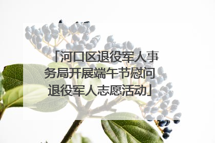 河口区退役军人事务局开展端午节慰问退役军人志愿活动