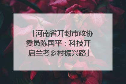 河南省开封市政协委员陈国平：科技开启兰考乡村振兴路