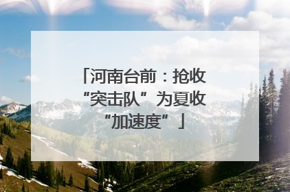 河南台前：抢收“突击队”为夏收“加速度”