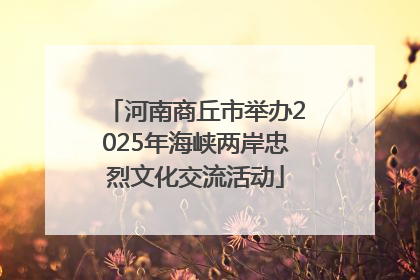河南商丘市举办2025年海峡两岸忠烈文化交流活动