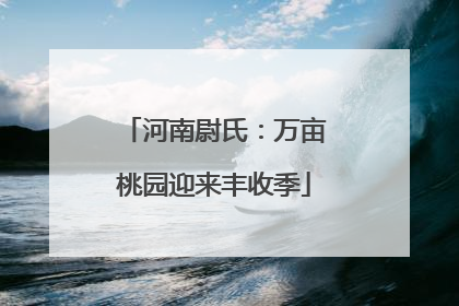 河南尉氏：万亩桃园迎来丰收季