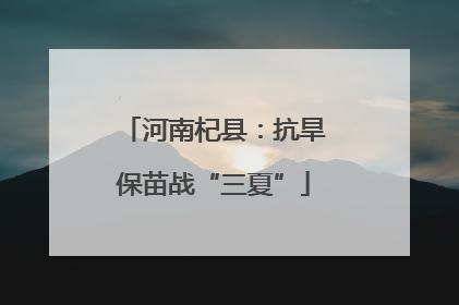河南杞县：抗旱保苗战“三夏”