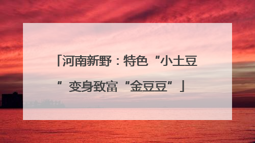 河南新野：特色“小土豆”变身致富“金豆豆”
