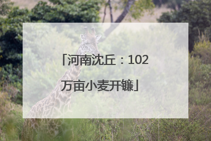 河南沈丘：102 万亩小麦开镰