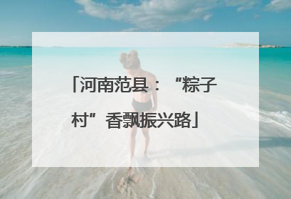河南范县：“粽子村”香飘振兴路