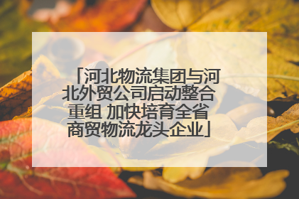 河北物流集团与河北外贸公司启动整合重组 加快培育全省商贸物流龙头企业