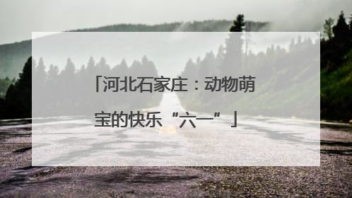 河北石家庄：动物萌宝的快乐“六一”