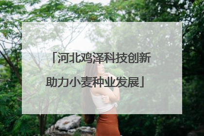 河北鸡泽科技创新助力小麦种业发展