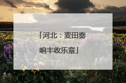 河北：麦田奏响丰收乐章