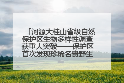 河源大桂山省级自然保护区生物多样性调查获重大突破——保护区首次发现珍稀名贵野生干巴菌与钝尾两头蛇