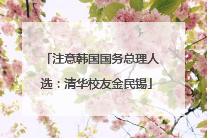 注意韩国国务总理人选：清华校友金民锡
