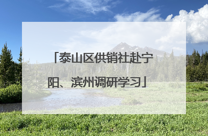 泰山区供销社赴宁阳、滨州调研学习