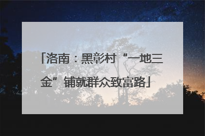 洛南：黑彰村“一地三金”铺就群众致富路