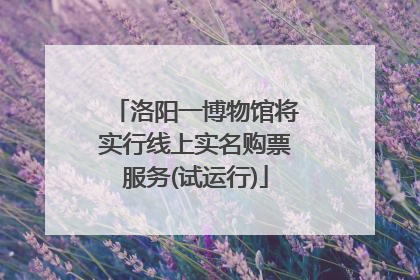 洛阳一博物馆将实行线上实名购票服务(试运行)