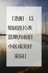洛阳：以组团连片改造助力老旧小区成美好家园