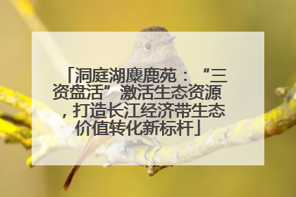 洞庭湖麋鹿苑：“三资盘活”激活生态资源，打造长江经济带生态价值转化新标杆