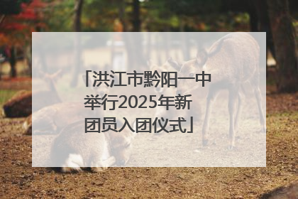 洪江市黔阳一中举行2025年新团员入团仪式