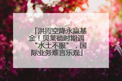 洪霞空降永赢基金！贝莱德时期遇“水土不服”，国际业务难言乐观