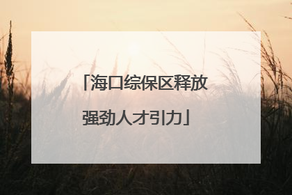 海口综保区释放强劲人才引力