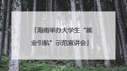 海南举办大学生“就业引航”示范宣讲会