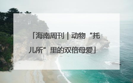 海南周刊｜动物“托儿所”里的双倍母爱