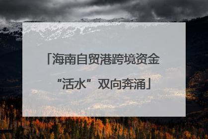海南自贸港跨境资金“活水”双向奔涌