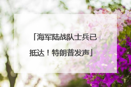 海军陆战队士兵已抵达！特朗普发声