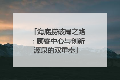 海底捞破局之路：顾客中心与创新源泉的双重奏
