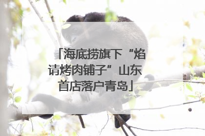 海底捞旗下“焰请烤肉铺子”山东首店落户青岛