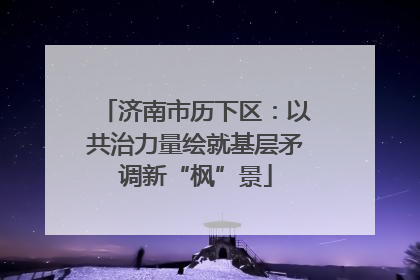 济南市历下区：以共治力量绘就基层矛调新“枫”景