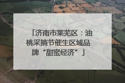 济南市莱芜区：油桃采摘节催生区域品牌“甜蜜经济”