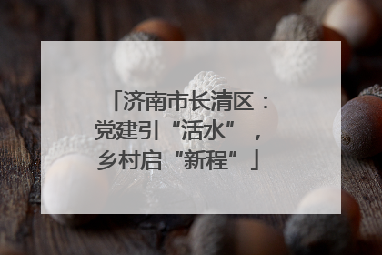 济南市长清区：党建引“活水”，乡村启“新程”