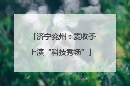 济宁兖州：麦收季上演“科技秀场”