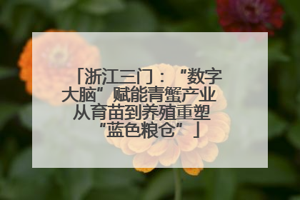 浙江三门：“数字大脑”赋能青蟹产业 从育苗到养殖重塑“蓝色粮仓”