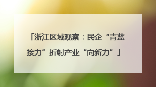 浙江区域观察：民企“青蓝接力”折射产业“向新力”