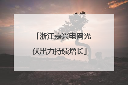 浙江嘉兴电网光伏出力持续增长