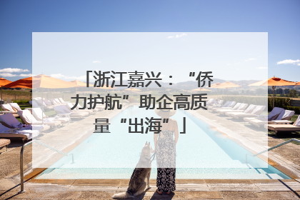 浙江嘉兴：“侨力护航”助企高质量“出海”