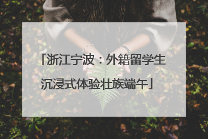 浙江宁波：外籍留学生沉浸式体验壮族端午