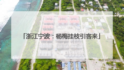 浙江宁波：杨梅挂枝引客来
